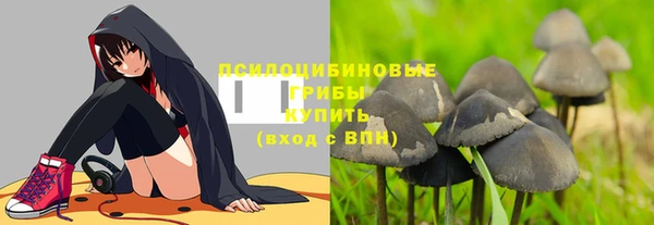трава Магадан